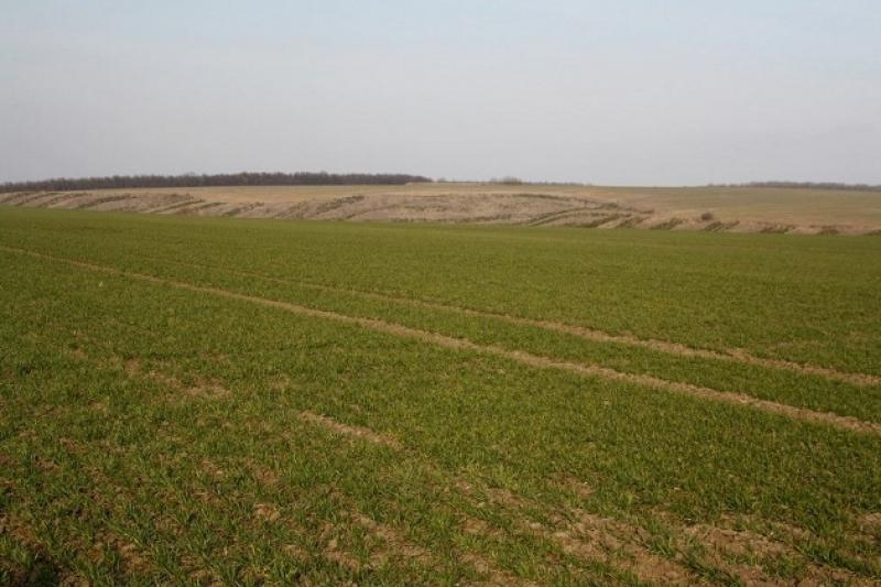 Наразі підживлення озимих на зерно проведено на площі 6,2 млн га