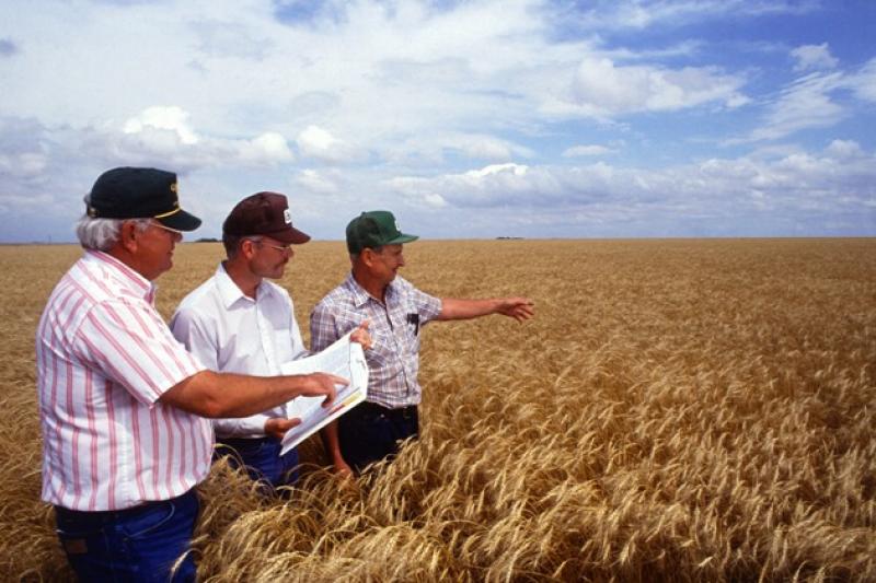 На Кіровоградщині найбільшу питому вагу мають кооперативи з механічного обробітку ґрунту та збору урожаю