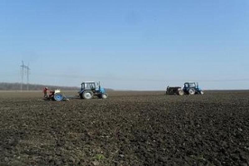 Аграріями Вінниччини посіяно 91% прогнозованих площ ранніх зернових