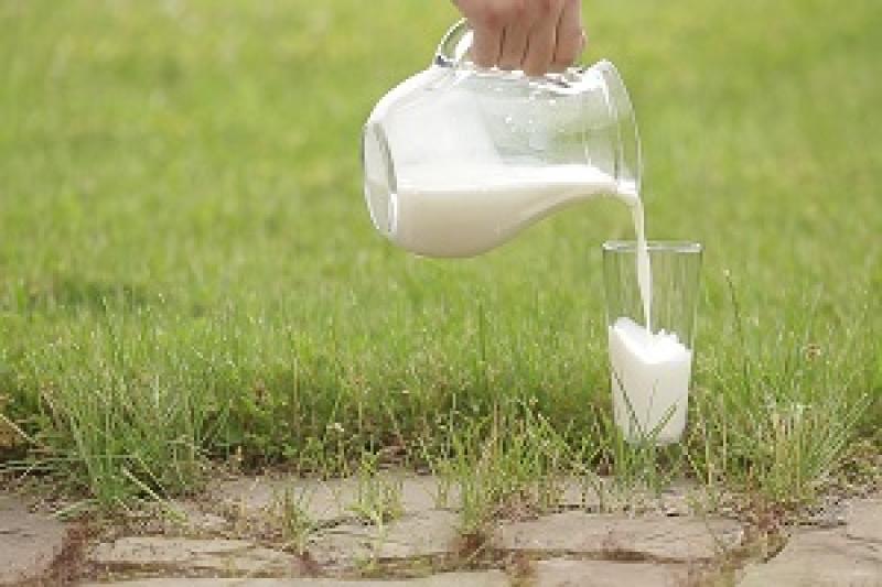 В Україні стартував період профіциту молока, ціни на нього падають