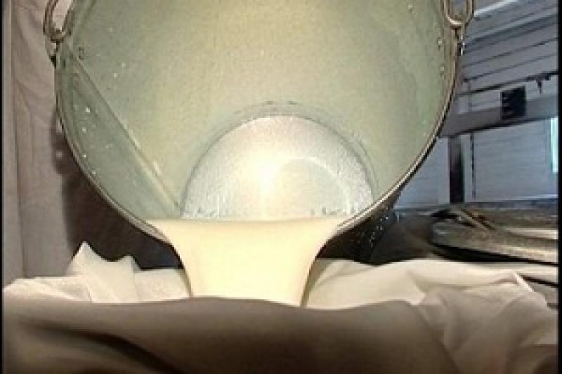 Собівартість молока знижуватися не буде