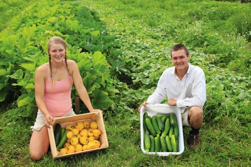 На Полтавщині протягом цього року планується відкрити 10 ферм сімейного типу