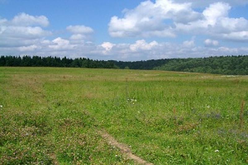 На Полтавщині у власність учасникам антитеростичної операції відведуть 3 455 га земель сільгосппризначення