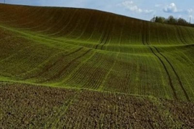На Харківщині ярими зерновими вже засіяно більше половини запланованих площ