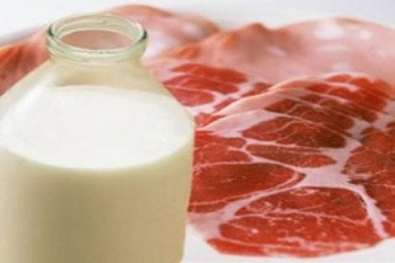 Тваринники Запорізької області збільшили виробництво молока та м'яса