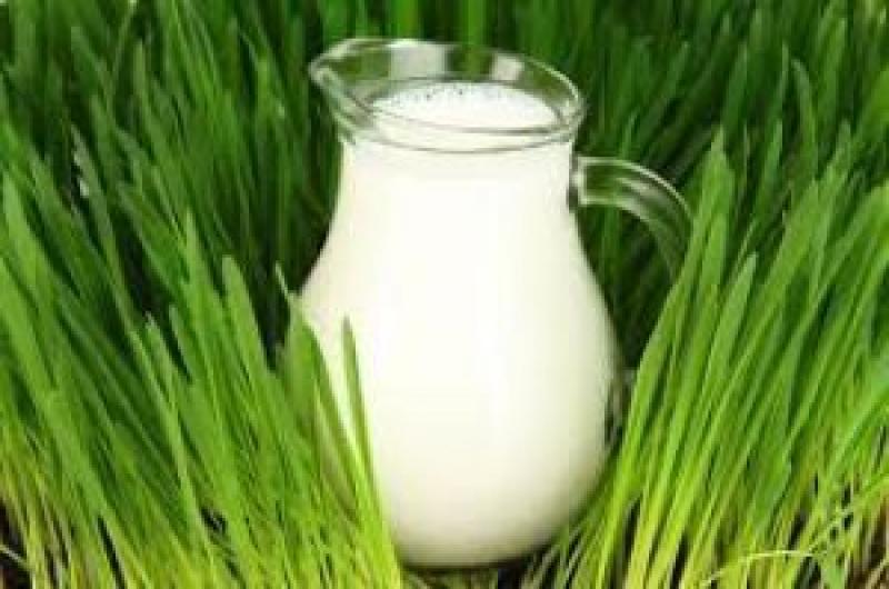 ЄС закінчив роботу над розробкою нових правил щодо скорочення виробництва молока