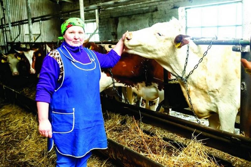 На Львівщині реалізовуватимуть проект «Нідерландський молочний центр в Україні»