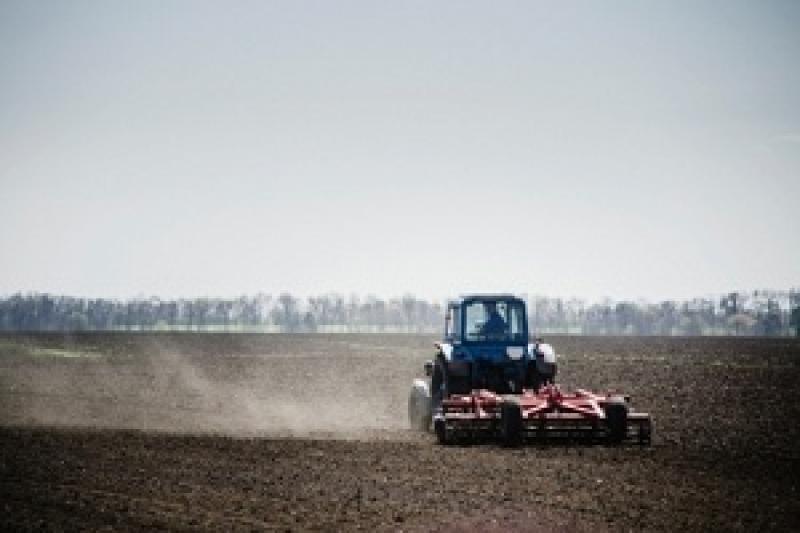 В Україні 11 областей уже завершили посів ранніх ярих зернових