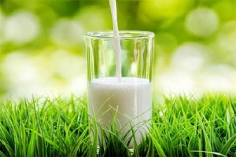 Середня ціна у березні на молоко рідке оброблене становила 10 тис. грн/т