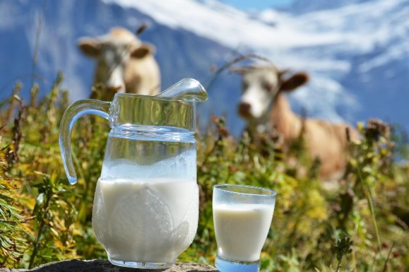 Загальний обсяг виробництва молока екстра класу за перший квартал 2016 року складає 82,8 тис.т