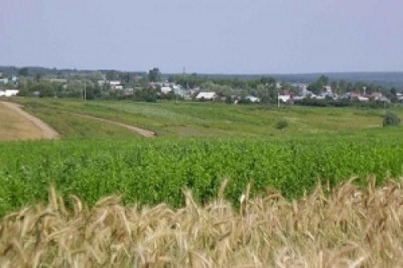 Учасники АТО на Полтавщині отримали земельні ділянки