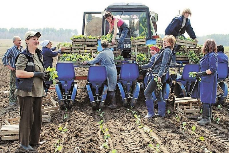 На Вінниччині за 2015 р. створено 95 сільськогосподарських обслуговуючих кооперативів