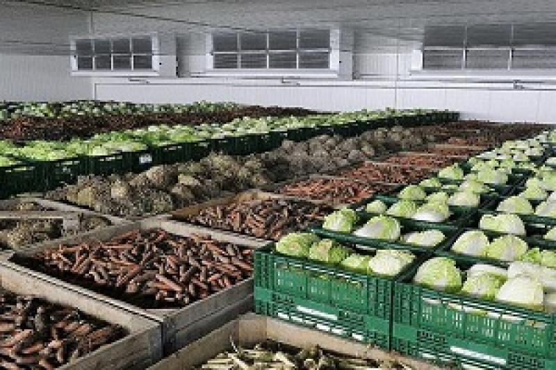 Вінницька область займає в Україні перше місце за обсягами виробництва валової продукції сільського господарства