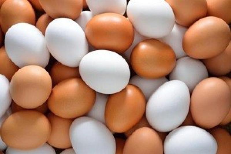  Україні у першому кварталі 2016 р. зменшилось виробництво яєць