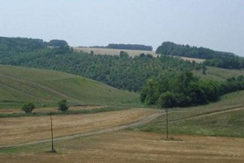 Молдавських фермерів зобов'яжуть страхувати сільгоспугіддя