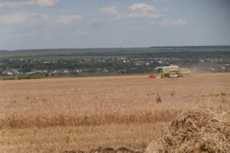 Аграрії Дніпропетровської області вже розпочали підготовку до жнив