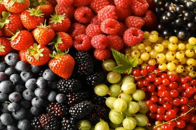 В Україні склалась безпрецедентно критична ситуація з реалізацією українських фруктів та ягід