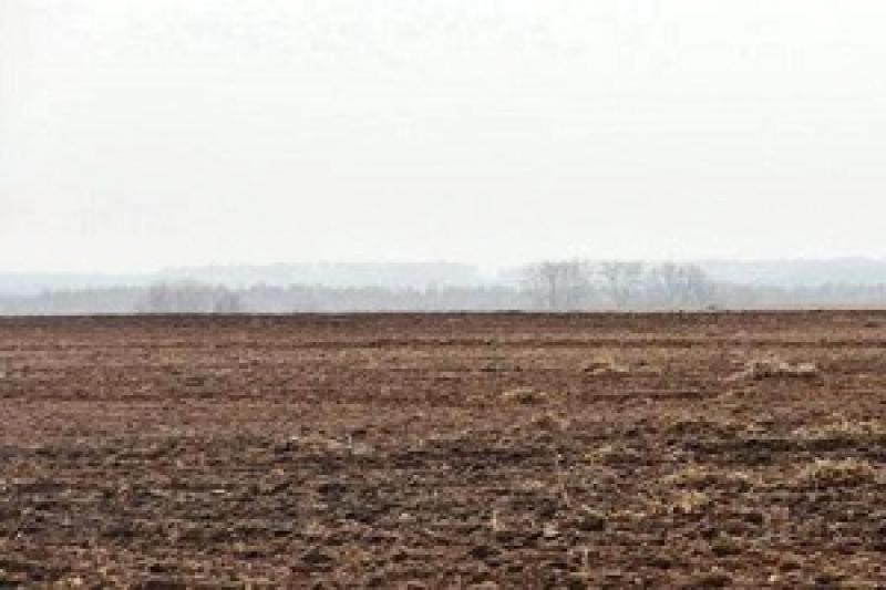  На земельному аукціоні Черкащини продали права оренди семи земельних ділянок