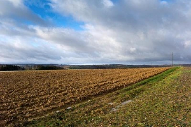На Чернігівщині з початку року інвестори взяли в оренду 36 земельних ділянок