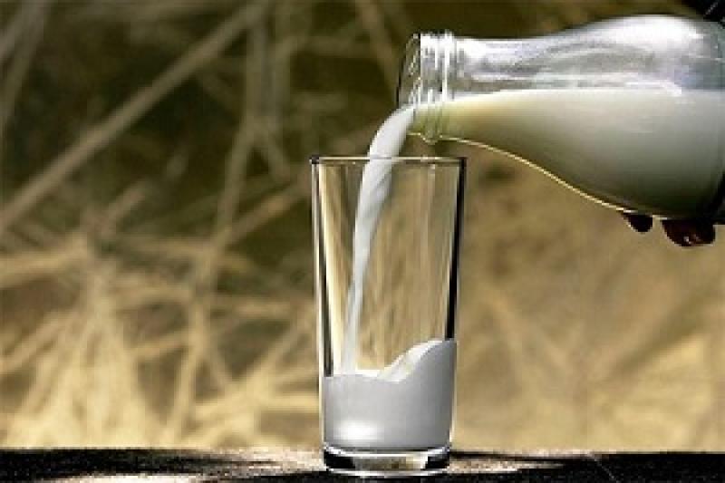 На Запоріжчині гострилася ситуація з закупівельними цінами на молоко