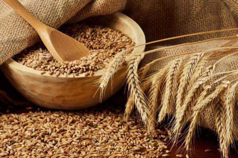 Проводиться закупівля продовольчої пшениці 2 класу врожаю 2016 року