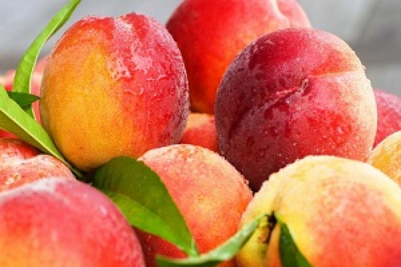 Виробництво персиків, нектаринів й абрикосів стає збитковим