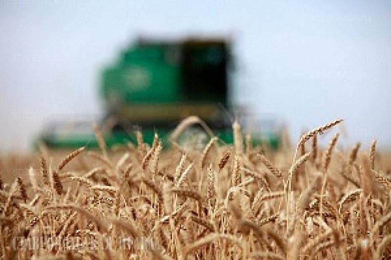 Аграрії Херсонської області зібрали перший мільйон тонн ранніх зернових