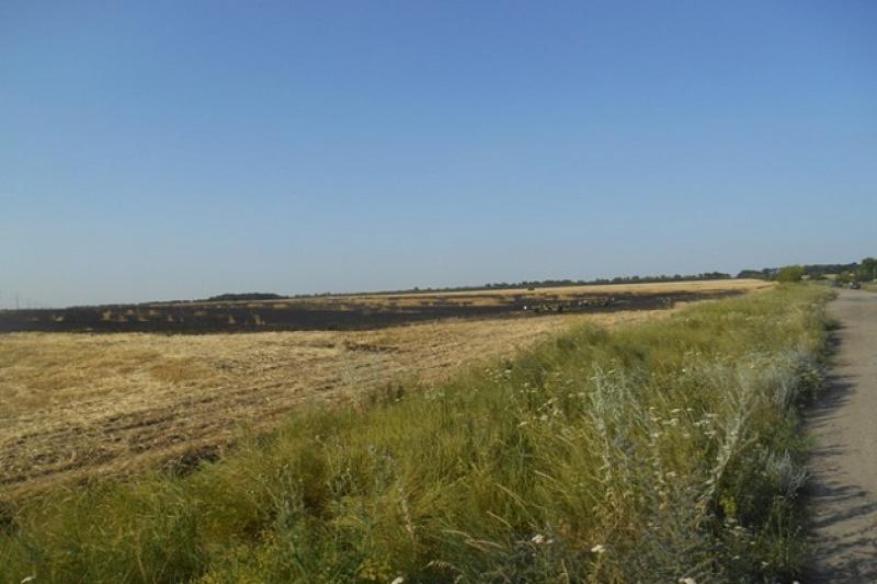 На Харківщині згоріло 100 га посівів озимої пшениці