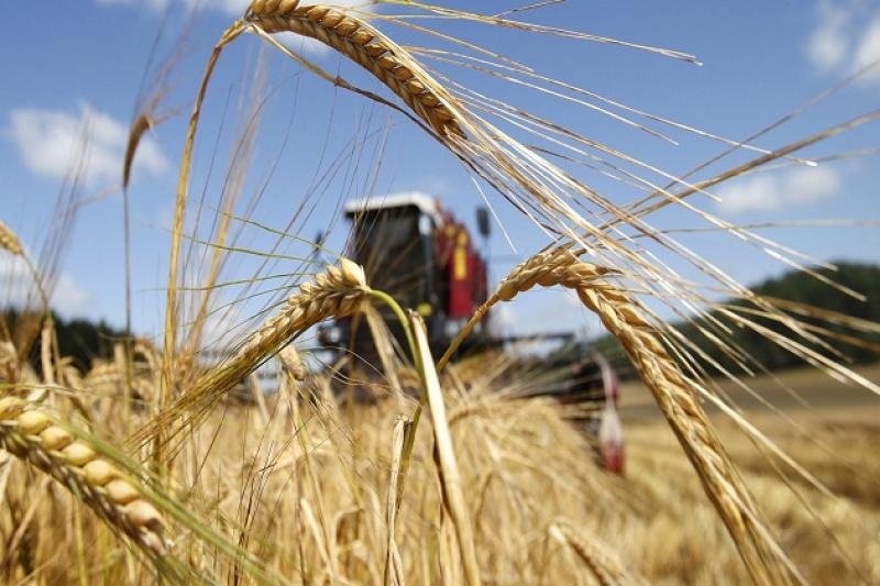 На Харківщині приватна фірма кілька років привласнювала врожай вирощений на землях держпідприємства