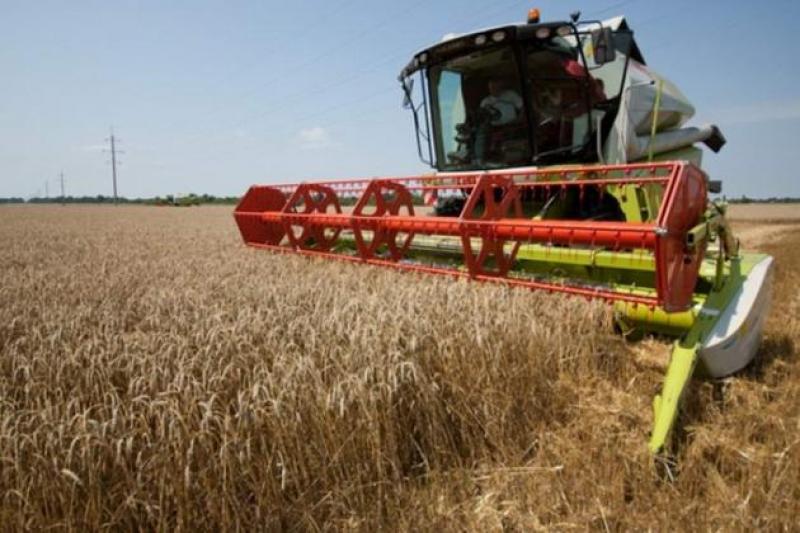 На Житомирщині обмолочено 37,2 тис. га озимої пшениці