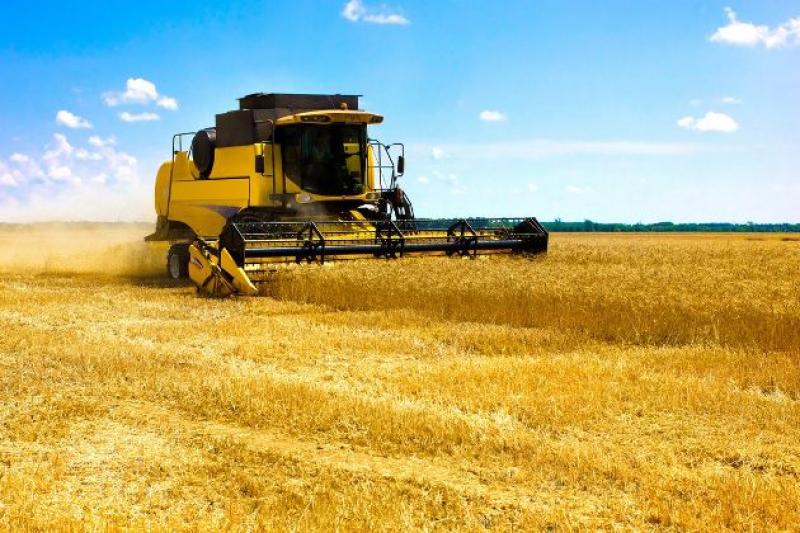 Цього року врожайність озимої пшениці в Запорізькій області становить  32,5 ц/га