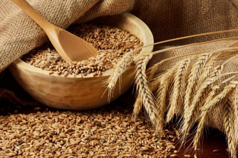 Минулого року на Вінниччині врожайність озимої пшениці становила 43,5 ц/га