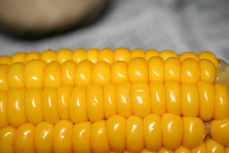 На Черкащині перероблятимуть кукурудзу на біоетанол