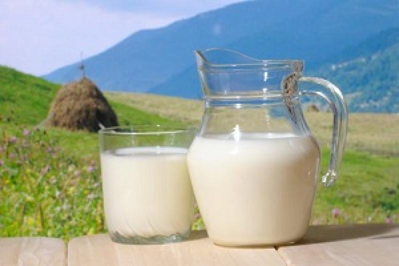 Прибутковість виробництва молока у липні знизилася на 3,5%