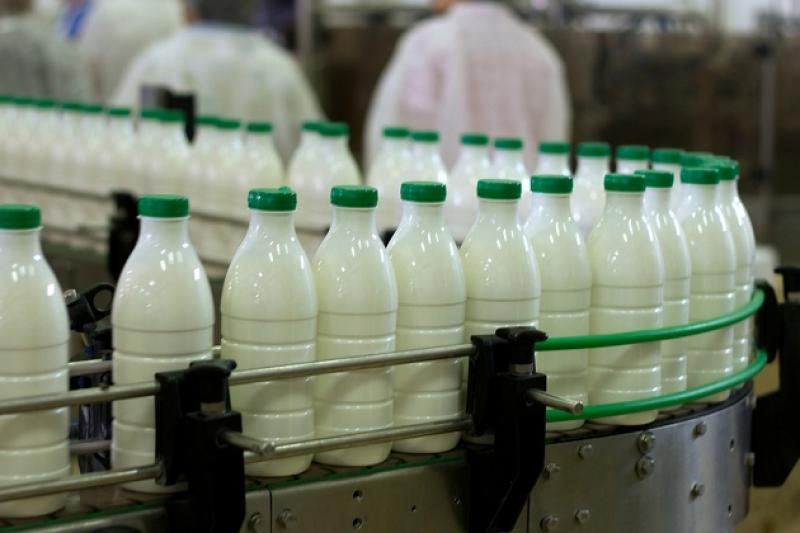 Падіння виробництва молока у 2016 р. складе близько 5%