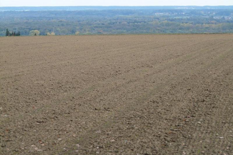 На Харківщині агропідприємство за оренду землі платить у 30 разів менше мінімальної ставки