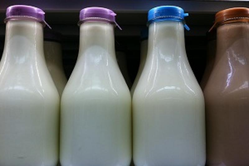 На Херсонщині вирішили звернутися до КМУ задля встановлення індикативних цін на молоко