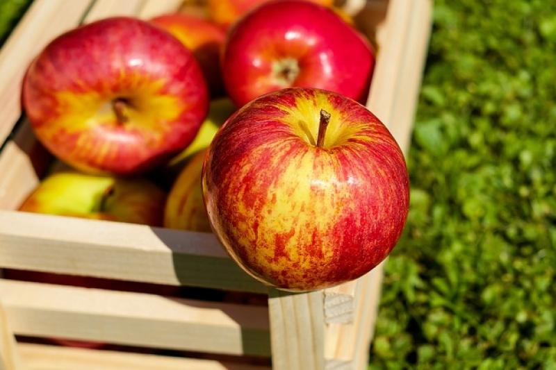 Сортові переваги у професійних виробників яблука в Україні дещо змінилися