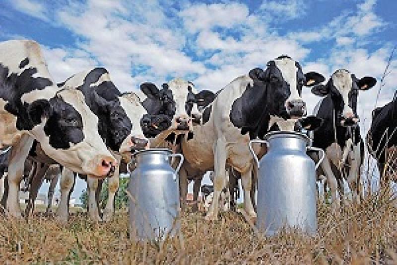 В Україні ціни виробників рідкого обробленого молока зросли на 25%