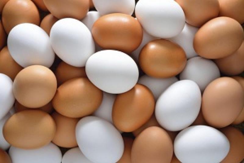 В Україні спостерігається скорочення виробництва яєць