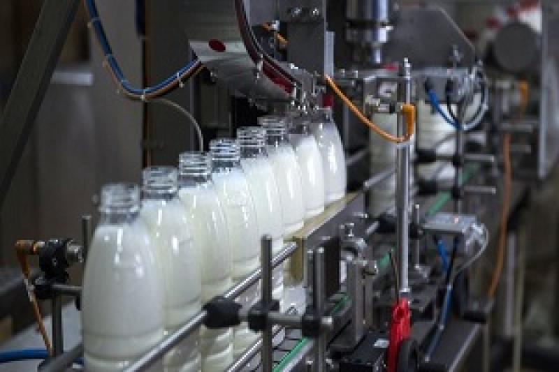 Виробництво молока сільськогосподарськими підприємствами зросло на 2,1%