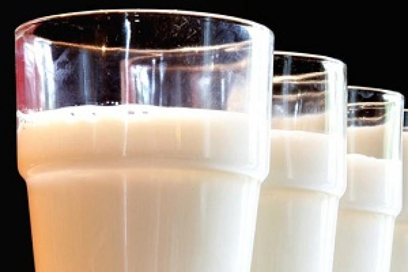 Французькі виробники молока припинили страйк