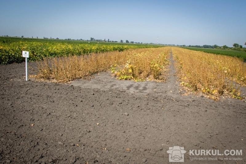 Фермерське господарство незаконно передало у суборенду землю вартістю 4 млн грн