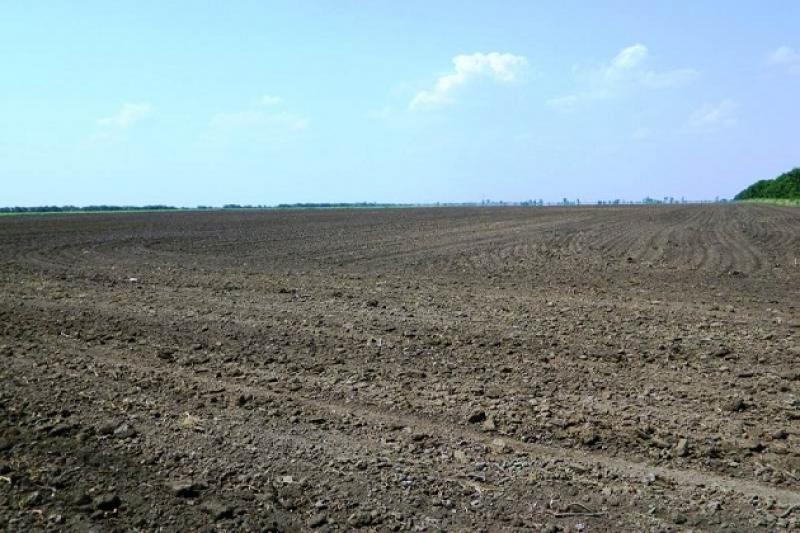 Аграрії Полтавщини почали посівну озимих зернових