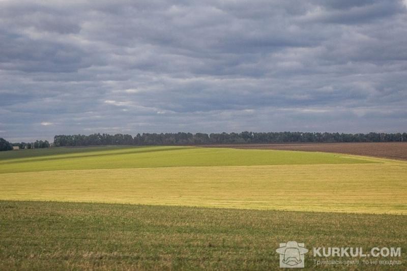 В Україні хочуть різко знизити оредні ставки на землю