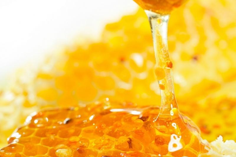 Тальнівські пасічники скаржаться на низьку закупівельну ціну на мед