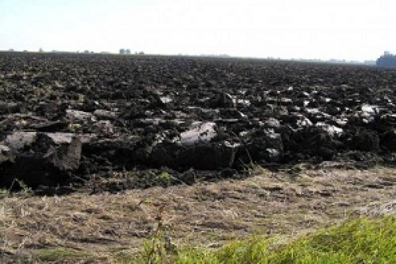 На Миколаївщині чиновник Держгеокадастру записав 48,5 га землі на людину, що померла