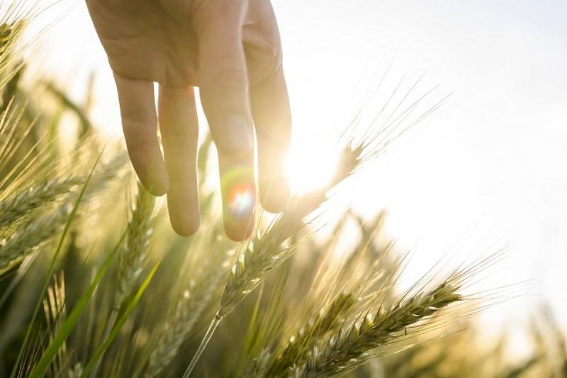 Хмельниччина зайняла 2 місце за темпами виробництва валової сільгосппродукції в Україні