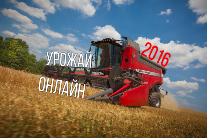 Комбайн Massey Ferguson за работою Комбайн Massey Ferguson за работою