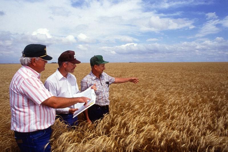 Комплексна програма страхування для агробізнесу під назвою «Ваш урожай — наша турбота» діє на Черкащині